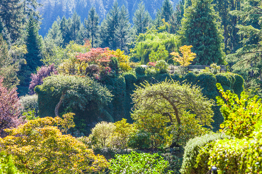 Butchart_Gardens-Sunken_Garden-4