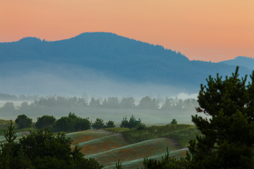 Cape_Mountain_Mist