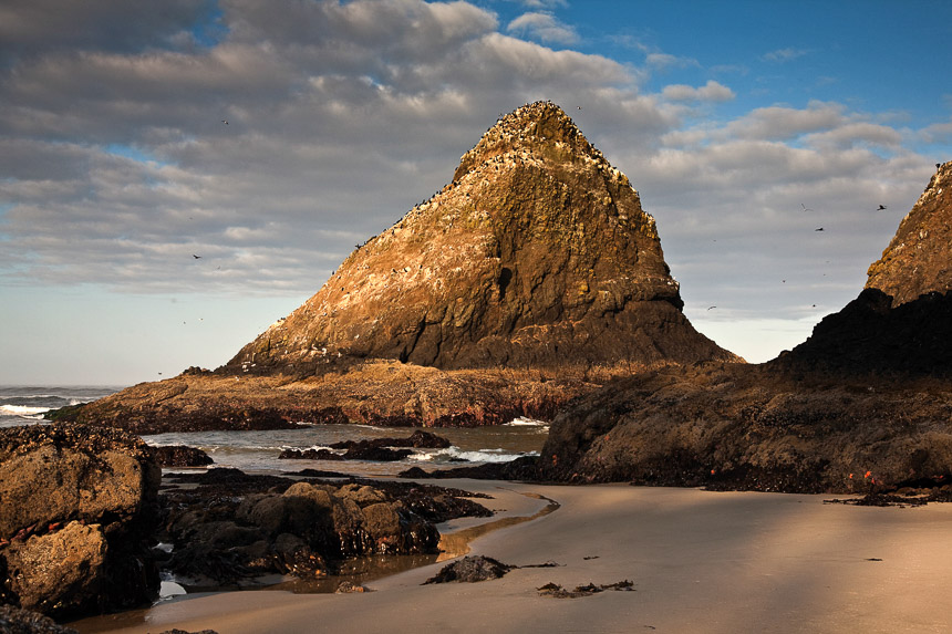 Devils_Elbow_Low_Tide