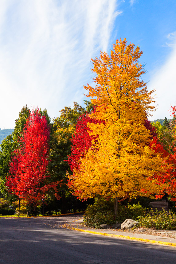 Lithia_Park-Ashland-15