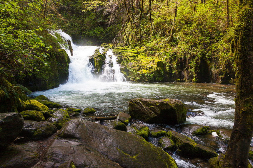 Sweet_Creek_Falls_2017