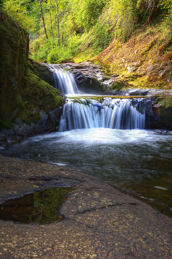 Sweet_Creek_Falls_Trail-12