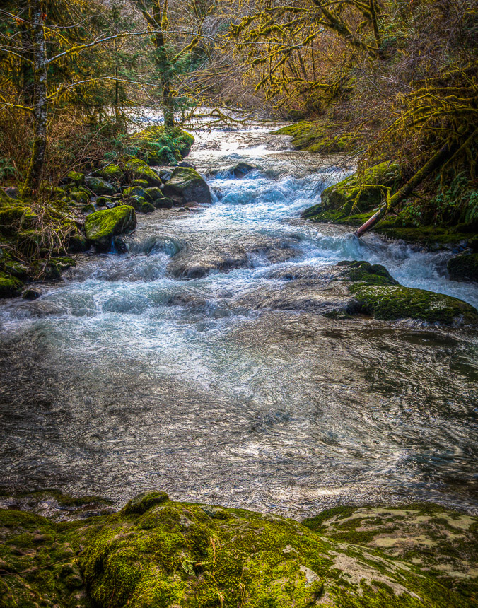 Sweet_Creek_Quiet_Path