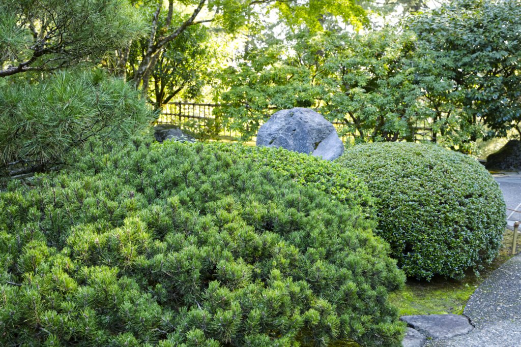 japanesegardenportland2022.jpg