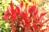 oregon_gardens14_small.jpg